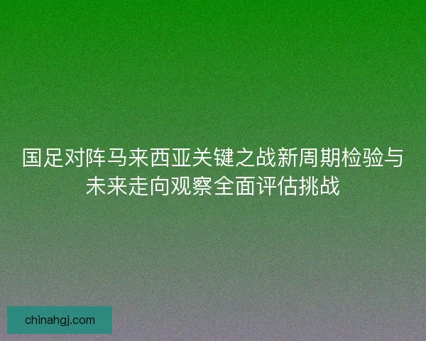 国足对阵马来西亚关键之战新周期检验与未来走向观察全面评估挑战